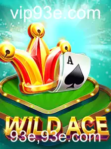 Descubra o Mundo Empolgante de WildAce em 93e,93e.com